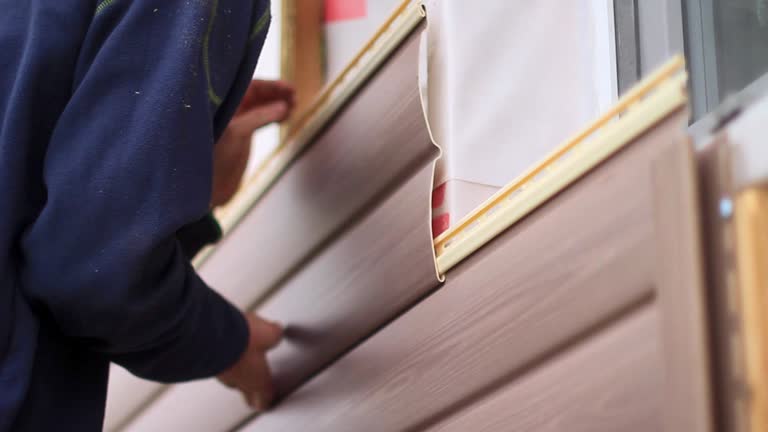 Best Moving and Downsizing Cleanouts  in Weissport East, PA